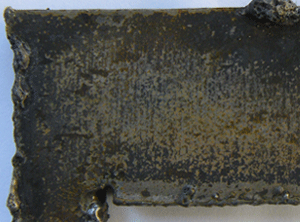 RostPrep - After Plate