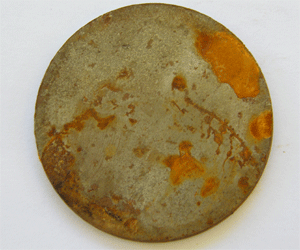RostPrep - Before disc