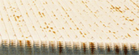  RostFort Silver Before