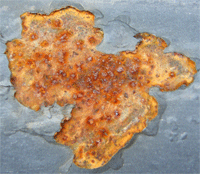 Rusted africa