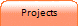 Projects